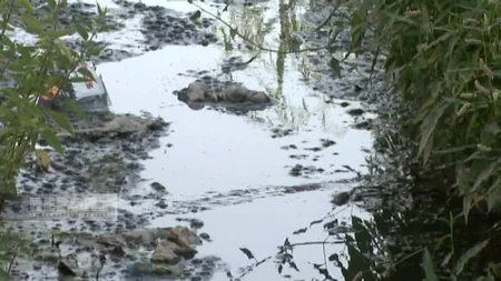 Ucarın bəzi küçə və prospektlərinin kanalizasiya xətləri bərbad vəziyyətdədir