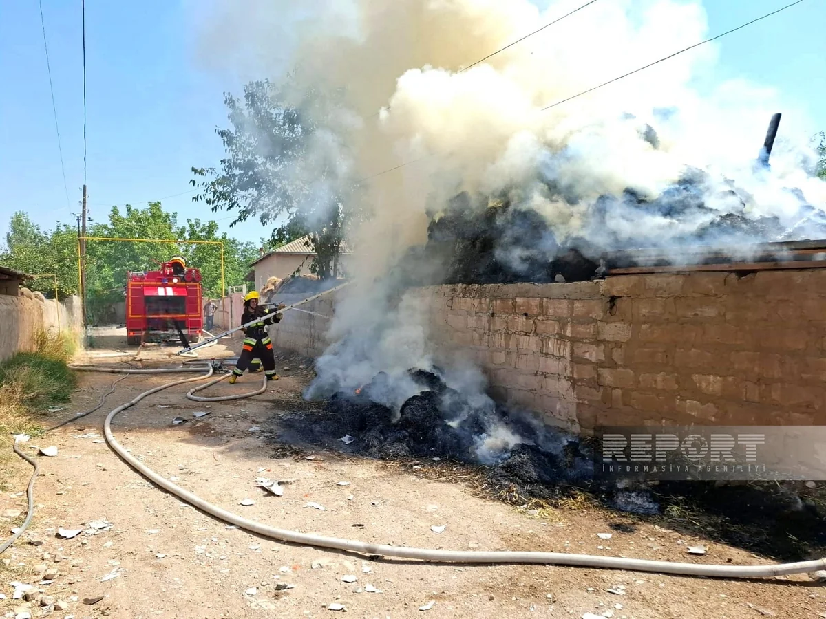 Naxçıvanda yanğınlar olub