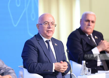 Bakıda “Medianın inkişafında Ümummilli Lider Heydər Əliyevin rolu” adlı konfrans keçirilib