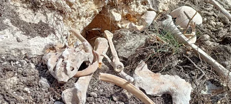 Fərruxda qazıntılar zamanı daha bir neçə azərbaycanlının meyitlərinin qalıqları tapılıb