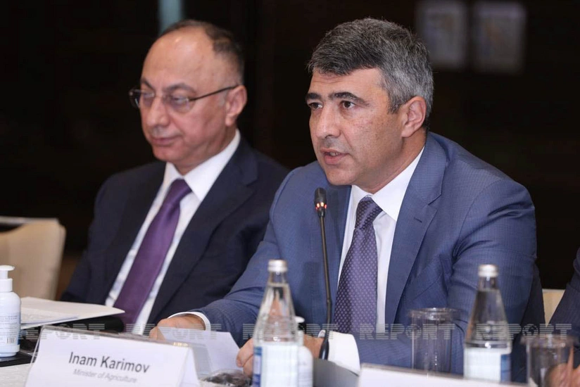 İnam Kərimov: Bitki sağlamlığı və mühafizəsi ilə bağlı davamlı iş görülür