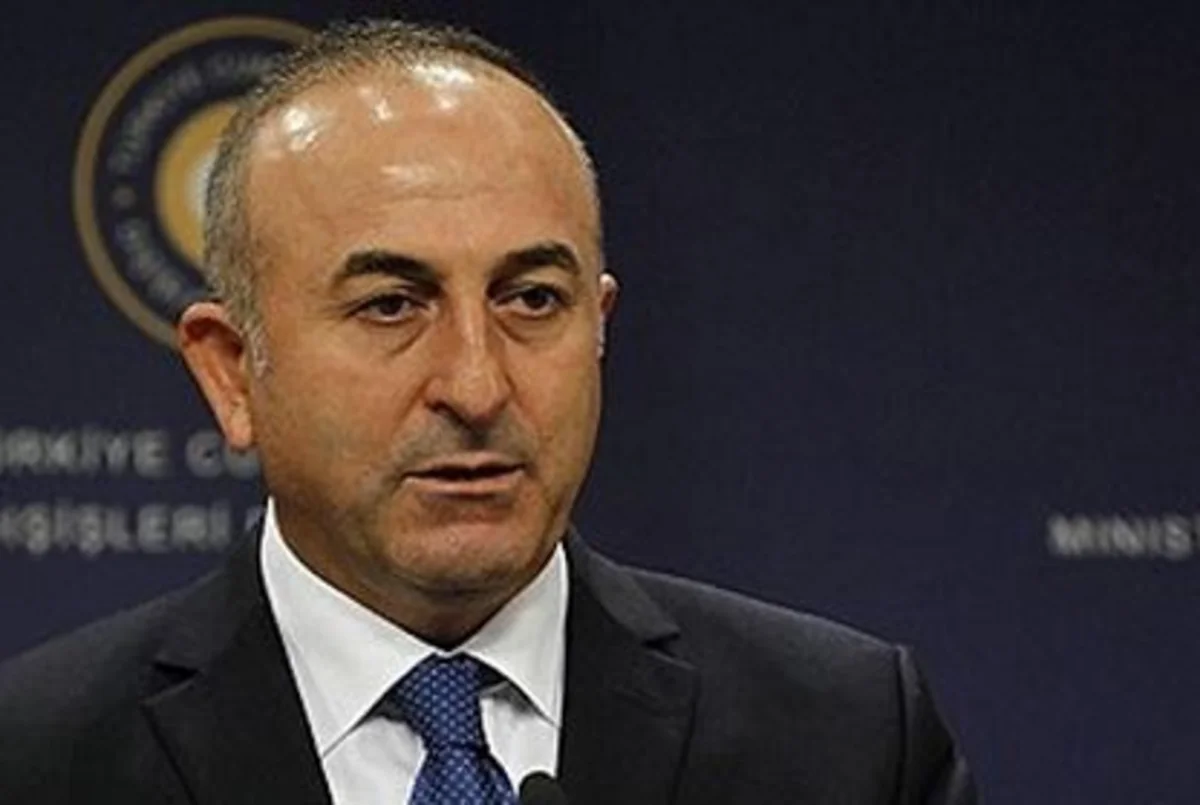 Çavuşoğlu: Turkey-EU relations began to normalize