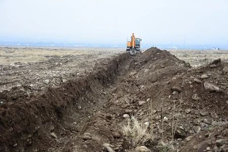 Azərbaycanda yeni fındıq bağları salınır: yüzlərlə yeni iş yeri, bol məhsul gözlənilir