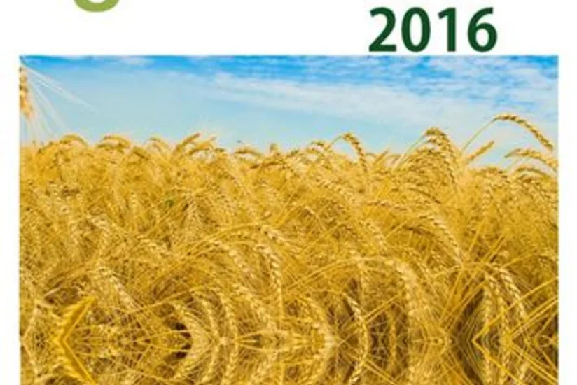 Ər-Riyadda beynəlxalq kənd təsərrüfatı, su və aqrar sənaye sərgisi keçiriləcək