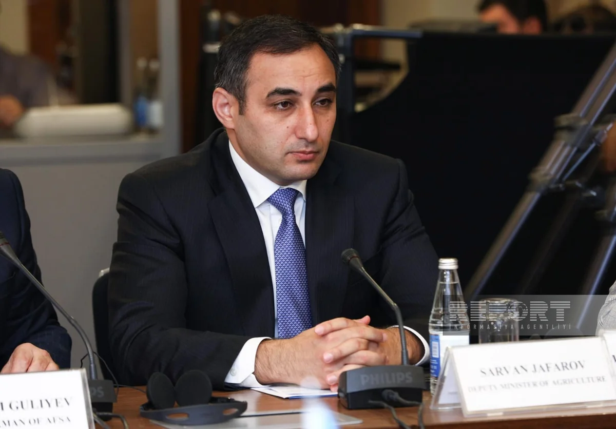 Ministry: Animals are vaccinated in Azerbaijan's liberated territories