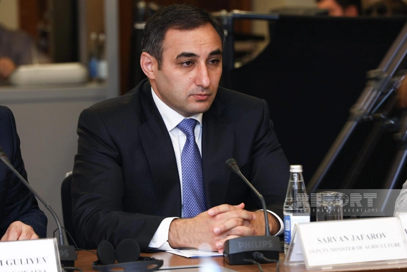 Джафаров: Министерство сельского хозяйства вакцинирует животных на освобожденных территориях