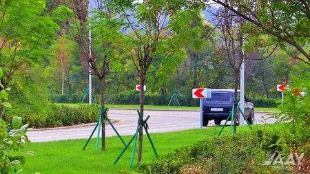 Laçında şəhərdaxili yollar sürətlə bərpa edilir