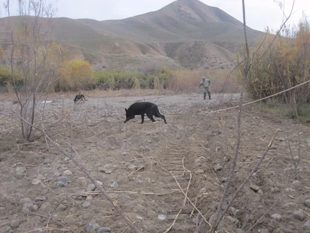 Cocuq Mərcanlıda 19 gündə 9 ədəd partlamamış hərbi sursat aşkarlanıb