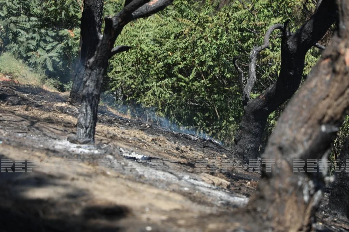 Xətaidə açıq sahədə yanğın başlayıb