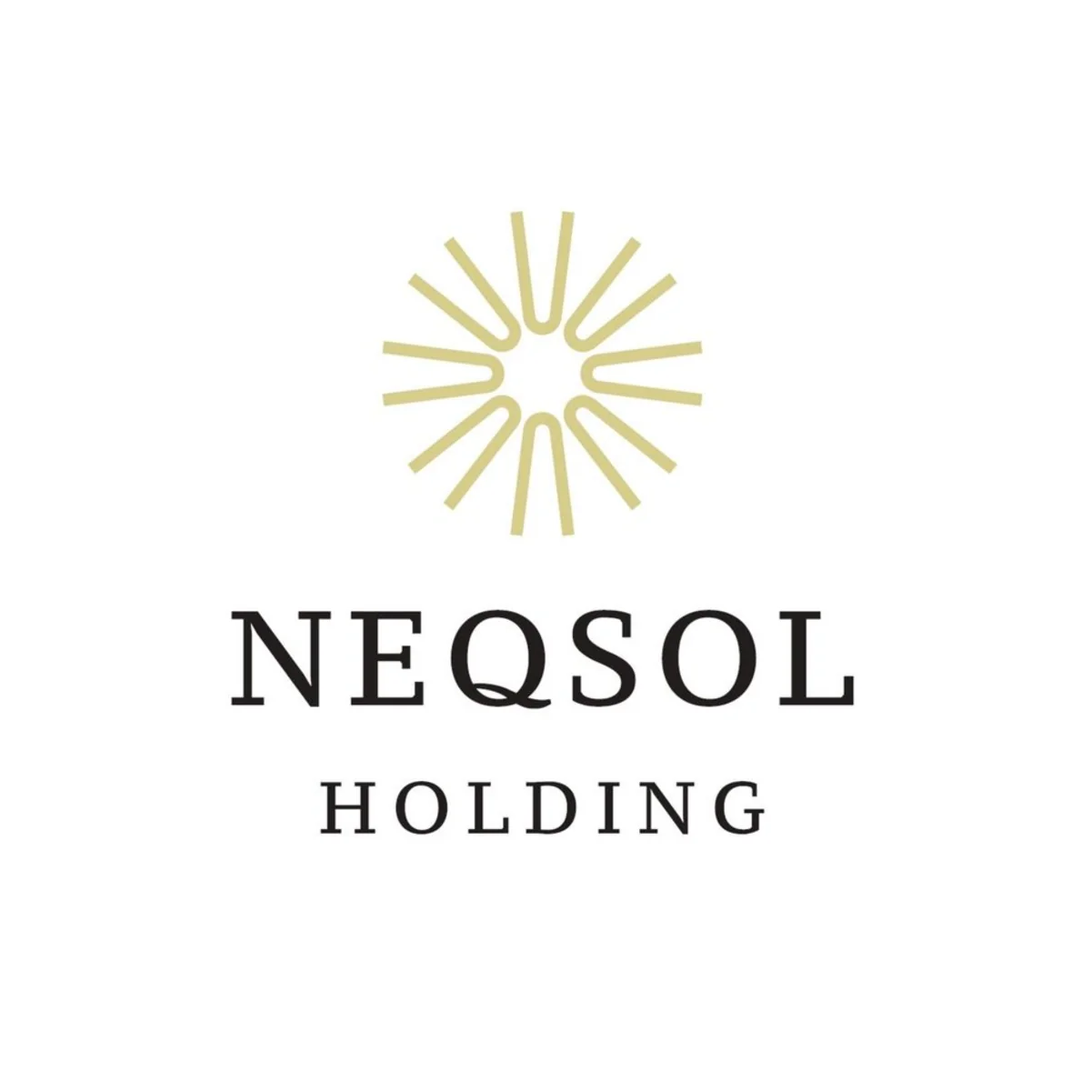 NEQSOL Holding Azərbaycana həkim heyətinin gətirilməsini dəstəkləyib