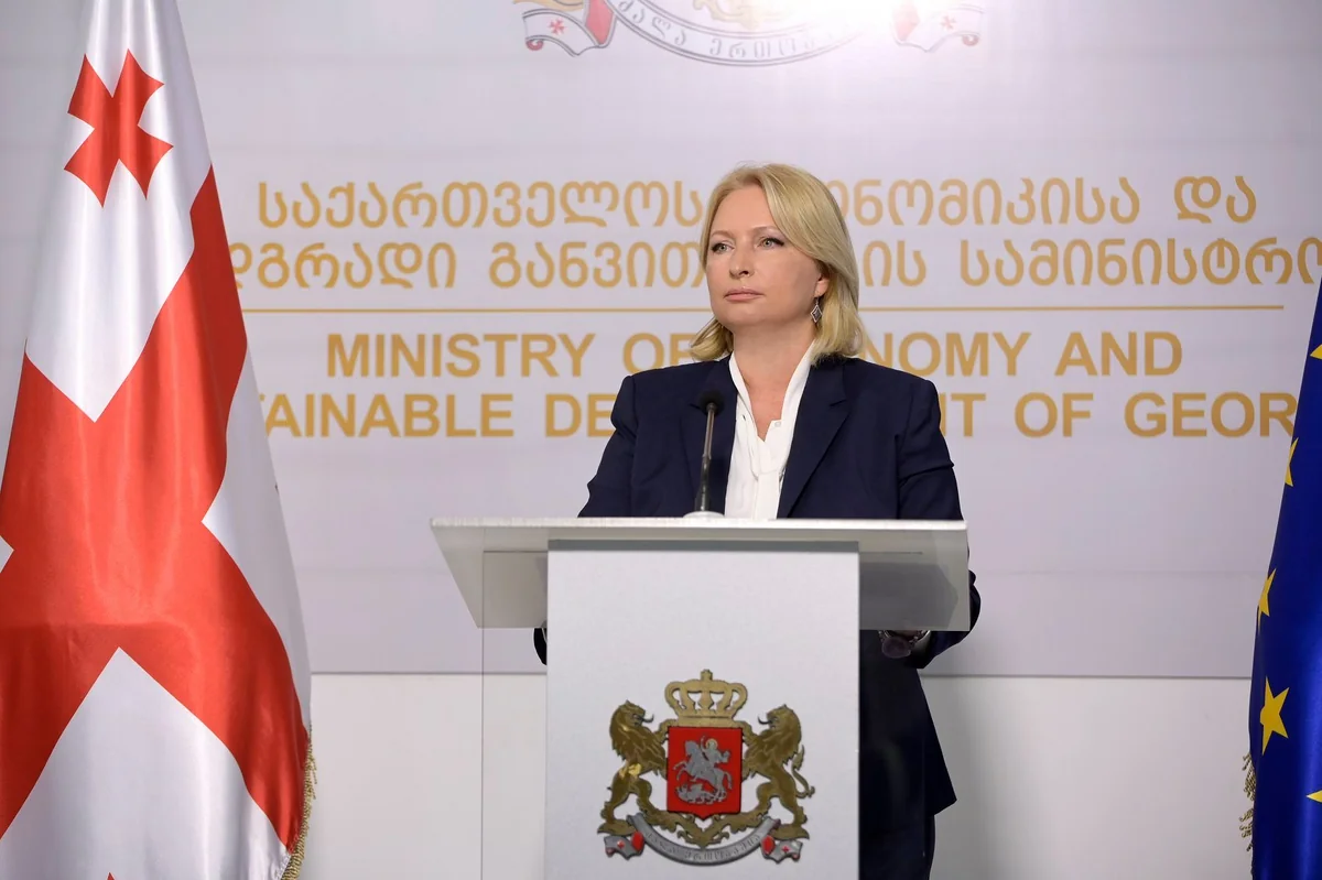 Gürcü nazir: “Lari ilə bağlı mənfi gözləntilər yoxdur”