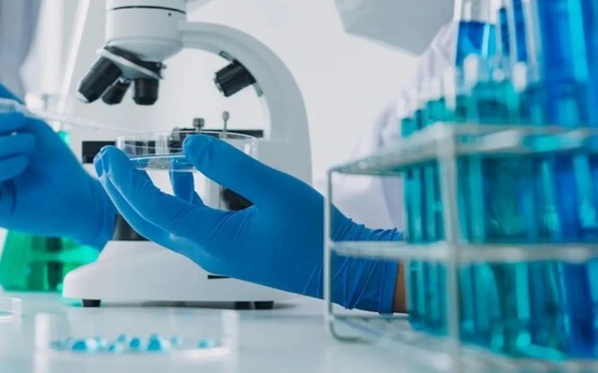 Colombia declares health emergency due to yellow fever cases, deaths