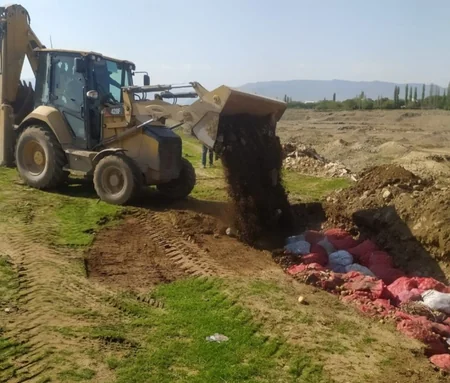 Rusiyadan Azərbaycana gətirilən kartofda zərərverici aşkarlanıb