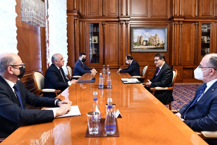 Azerbaijani PM meets with Turkish Minister of Energy and Natural Resources