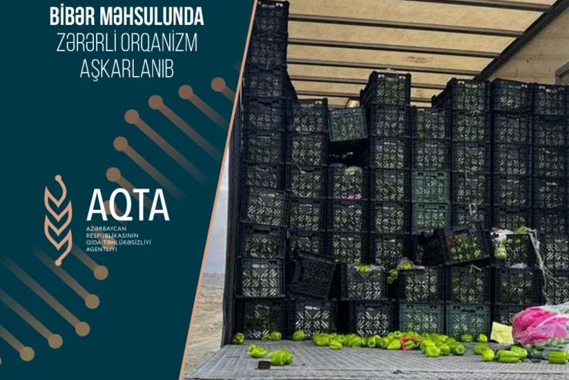 В импортированном в Азербайджан из Ирана перце обнаружен вирус