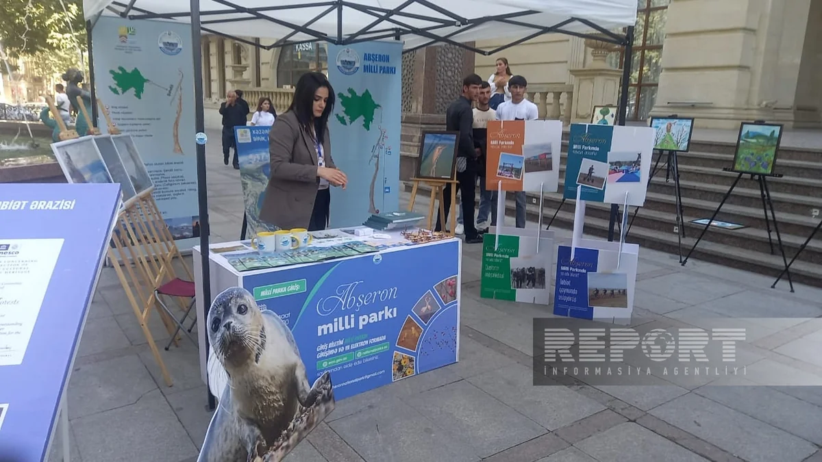 Gəncədə Azərbaycanın milli parklarının tanıtımı olub