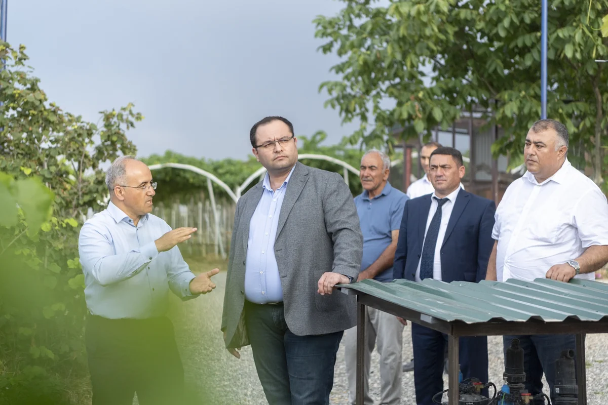 Məcnun Məmmədov Şabranda təsərrüfatlara baş çəkib, fermerlərlə görüşüb