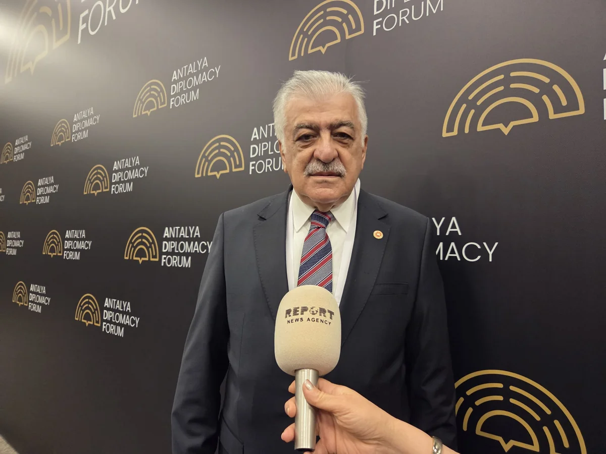 Samil Ayrim: Western Azerbaijanis issue should remain relevant until they return to their homeland