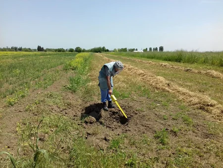Tərtərdə 4 ədəd partlamamış top mərmisi aşkar edilib