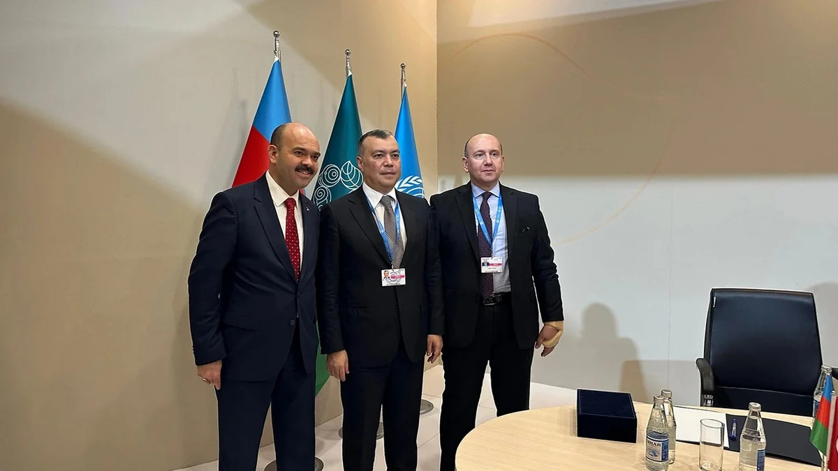 Azerbaijani, Turkish officials discuss efforts to combat climate change