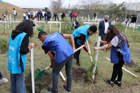 Nərə balıqları Kür çayına buraxılıb