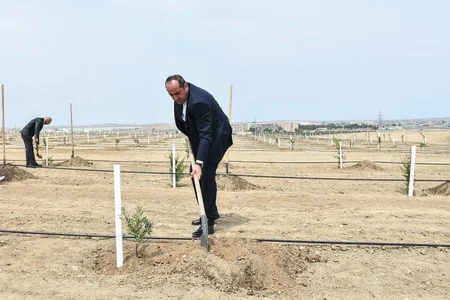 ANAMA Heydər Əliyevin 100 illik yubileyi ilə əlaqədar ağacəkmə aksiyası keçirib