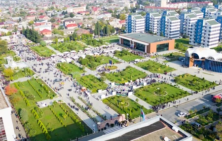 Lənkəranda III Çay, Çəltik, Sitrus Festivalı keçiriləcək - FOTO - VİDEO