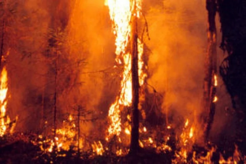 В Греции пожарные борются с 56 природными пожарами