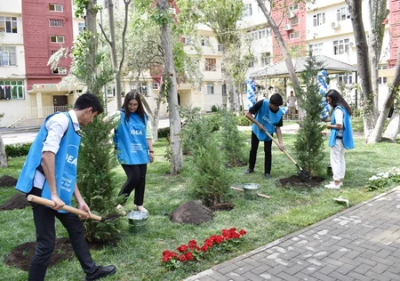 Bakıda daha bir həyət təmir edilib