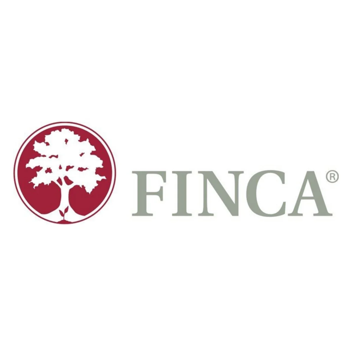 “Finca Azerbaijan”ın öhdəlikləri aktivlərini üstələyib