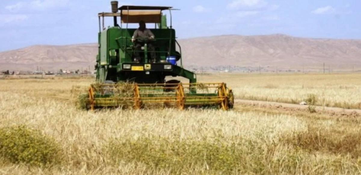 ​Ötən il Şərur rayonunda 483 torpaq mülkiyyətçisinə maliyyə yardımı ayrılıb