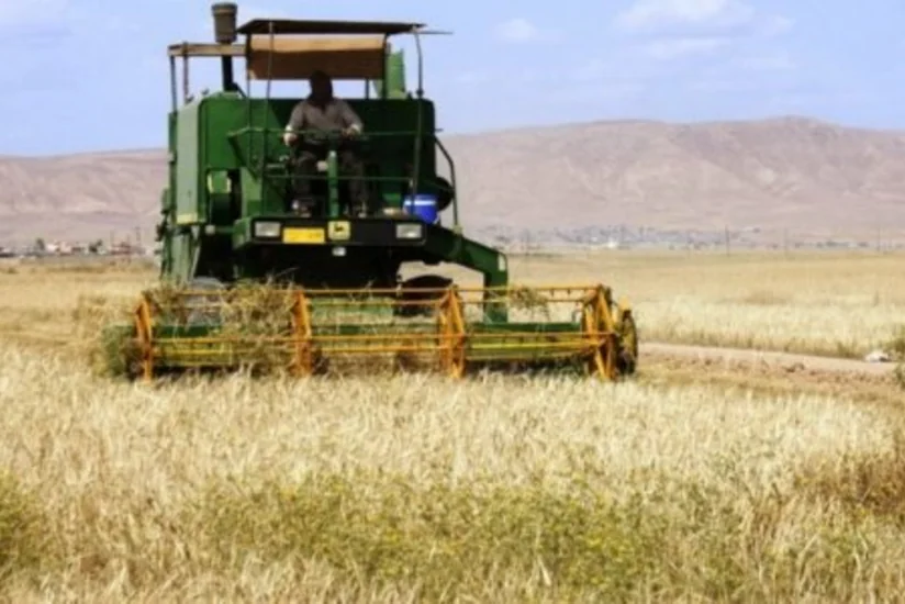 ​Ötən il Şərur rayonunda 483 torpaq mülkiyyətçisinə maliyyə yardımı ayrılıb