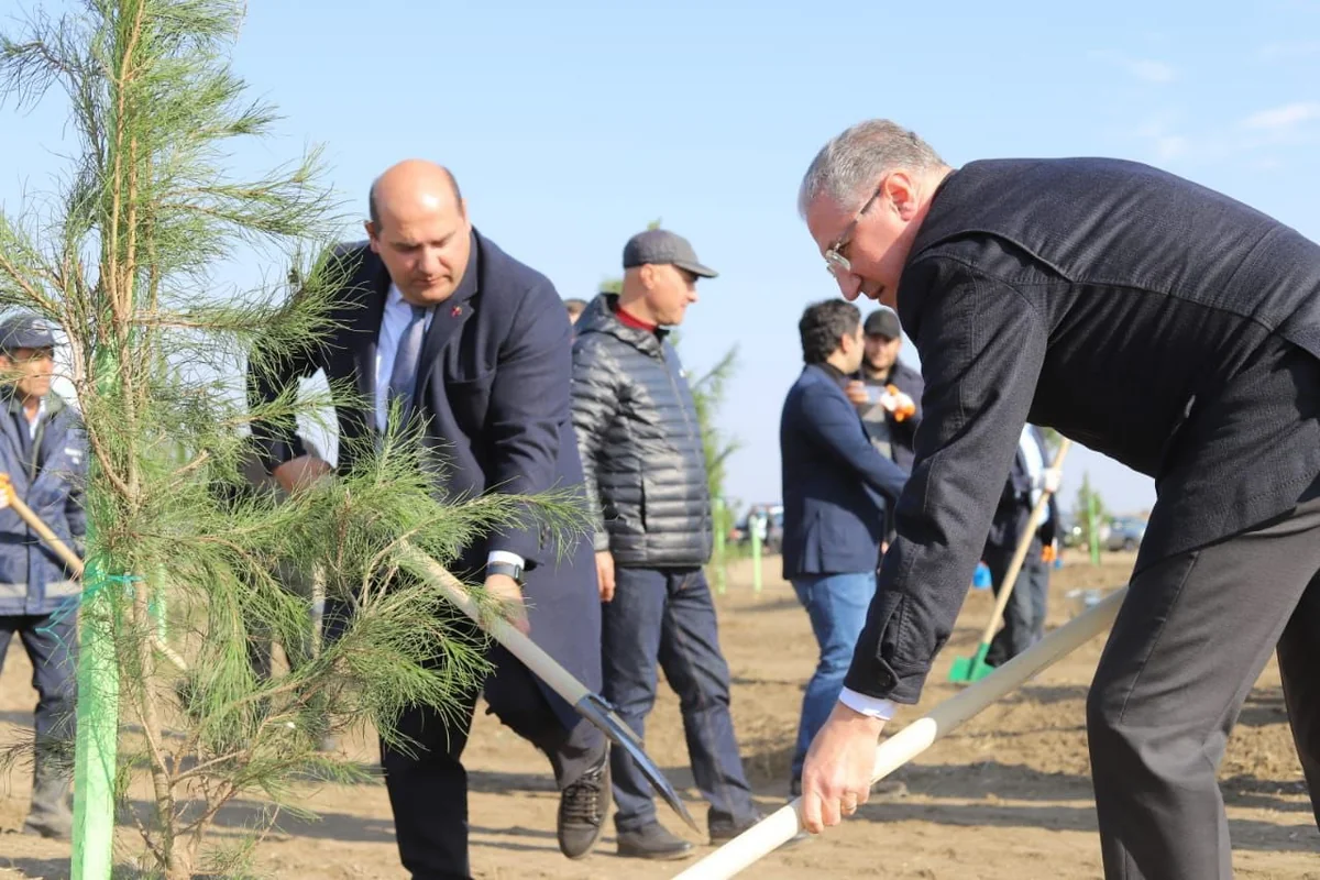 Спецпредставитель президента посадил деревья в Агдаме