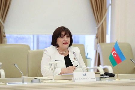 Azerbaijani parliament speaker notes good opportunities to expand ties with Spain