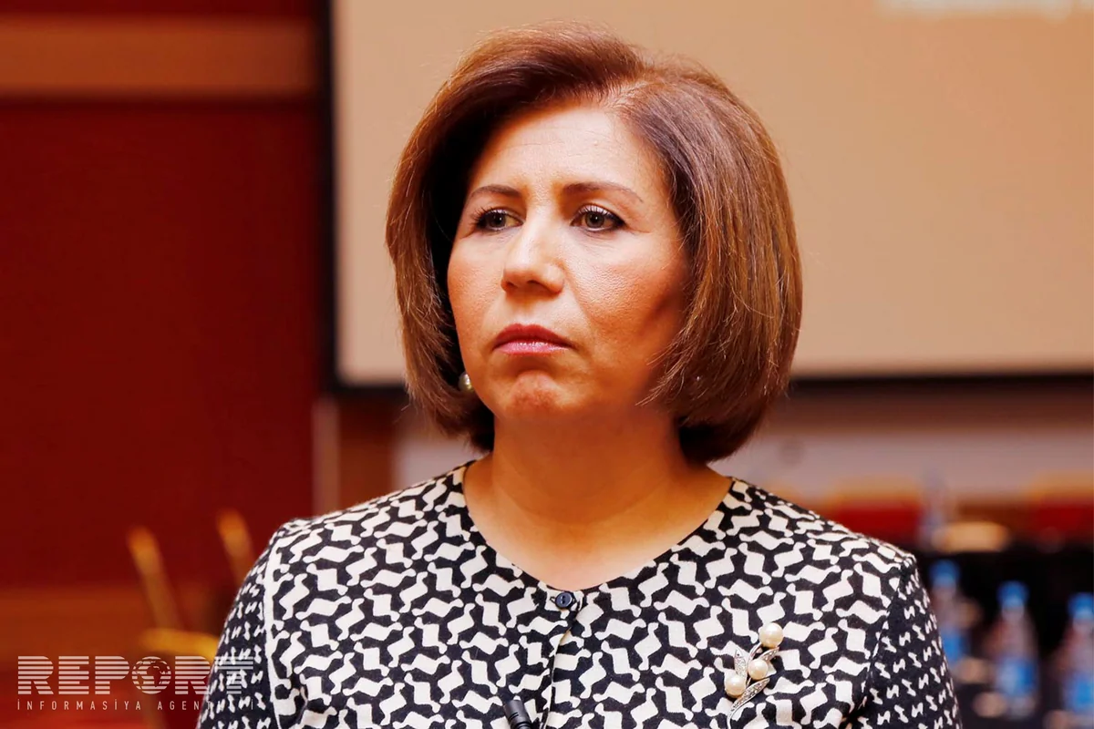 Milli Majlis Deputy Chairman: 'Armenia calls for provocation the states supporting Azerbaijan'