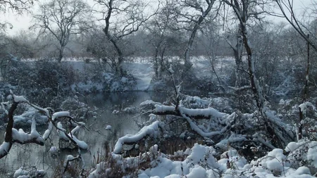 Azərbaycan parklarının qış görüntüləri - FOTOREPORTAJ