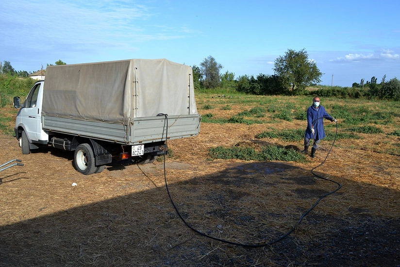 Dövlət Baytarlıq Xidməti icra başçılarına müraciət edib