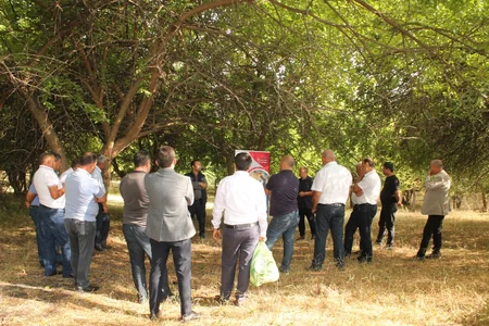Meşələrdə ağıllı suvarma sisteminin yaradılması mövzusunda təlim keçirilib