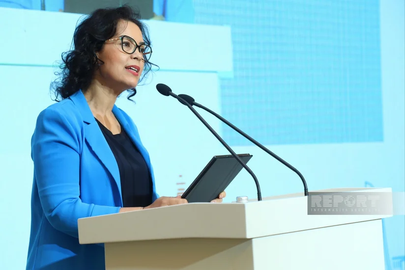 İsmahane Eluafe: Azərbaycanda gənc innovatorların iqlimlə bağlı həllərini görmək istəyirəm