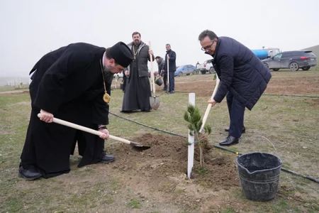 Dövlət Komitəsinin “Yaşıl gələcək naminə” aksiyasına yekun vurulub