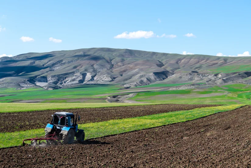 WB reviews competitiveness of Azerbaijan’s agricultural sector