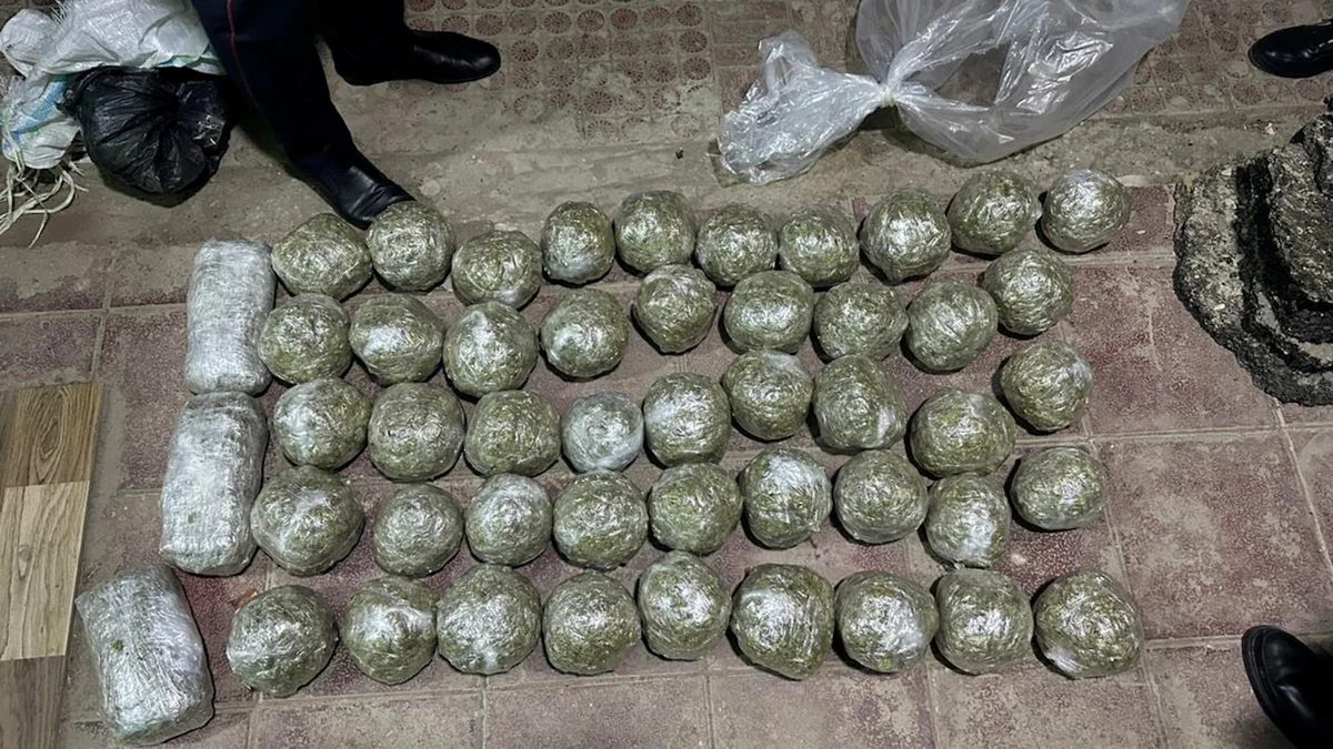 Bakıda üç narkokuryerdən 18 kiloqrama yaxın narkotik götürülüb
