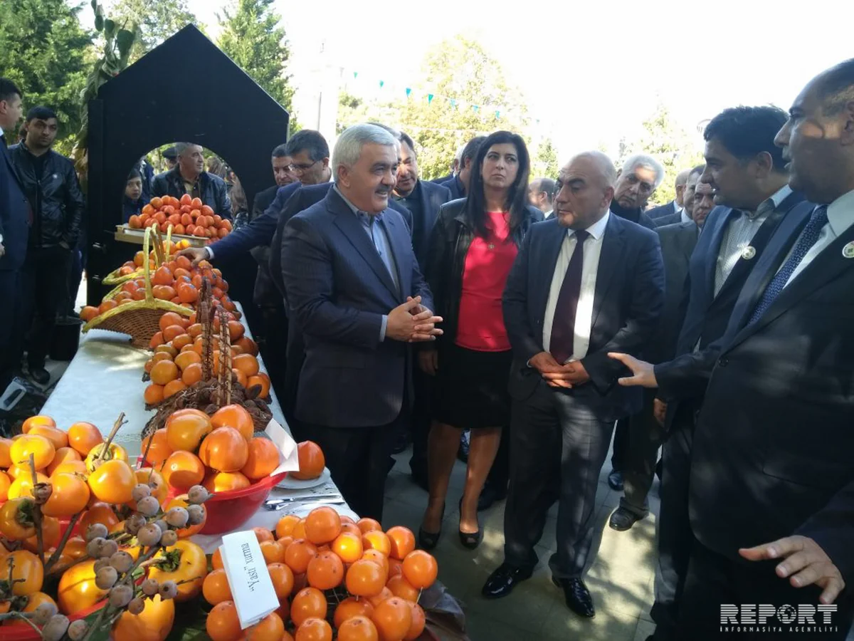Balakan district for first time hosts International Date Festival - PHOTO