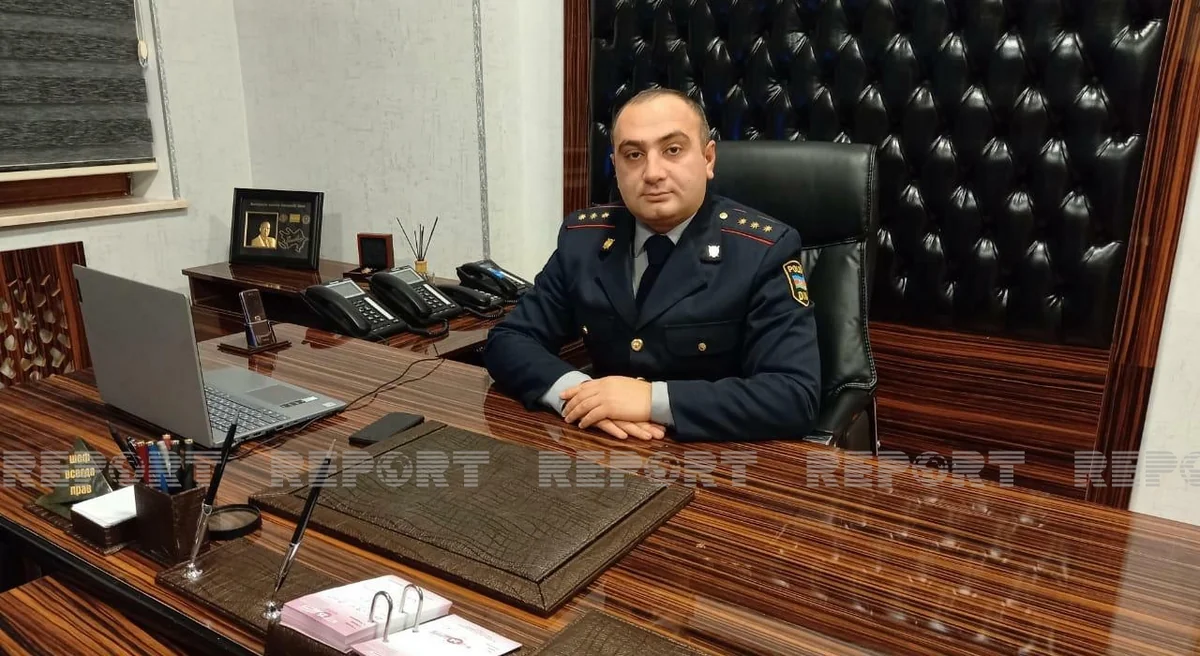 Gədəbəydə atı ağacdan asdılar, polis araşdırmaya başladı