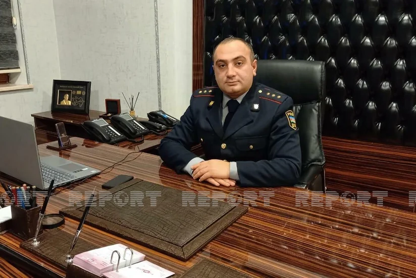 Gədəbəydə atı ağacdan asdılar, polis araşdırmaya başladı