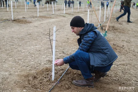 Report News Agency takes part in tree planting campaign - VIDEO