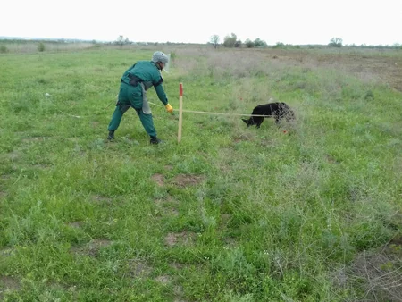 Cocuq Mərcanlıda 4 ədəd tank əleyhinə mina partladıcısı aşkarlanıb