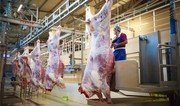 Qurbanlıq heyvanların satışı və kəsimi xidmətləri göstəriləcək ünvanlar açıqlanıb - SİYAHI