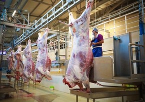Qurbanlıq heyvanların satışı və kəsimi xidmətləri göstəriləcək ünvanlar açıqlanıb - SİYAHI