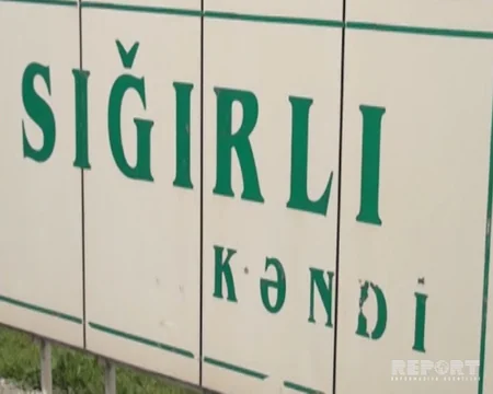 Kürdəmirdə dərmandan zəhərlənən 2000 ev quşu tələf olub